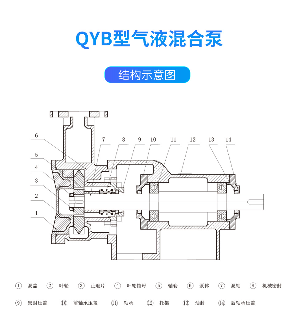 qyb_02.jpg